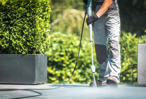 Best Roof Washing  in Amelia, OH