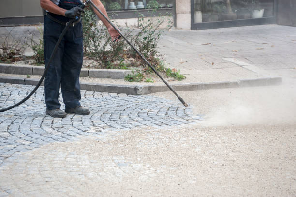 Animal Enclosure Cleaning in Amelia, OH